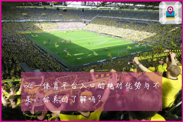 必一体育平台入口的绝对优势与不足，你真的了解吗？