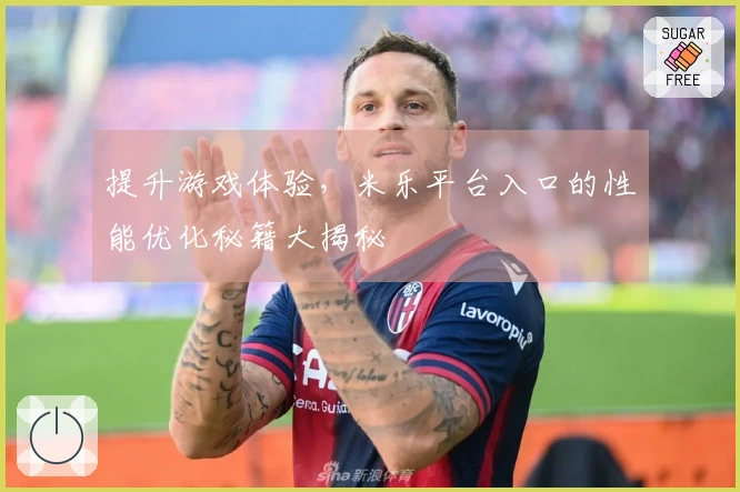 提升游戏体验，米乐平台入口的性能优化秘籍大揭秘