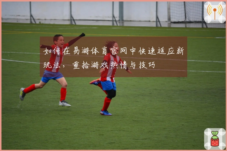 如何在易游体育官网中快速适应新玩法，重拾游戏热情与技巧