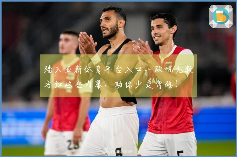 踏入亚新体育平台入口，踩坑无数方知这些内幕，助你少走弯路！