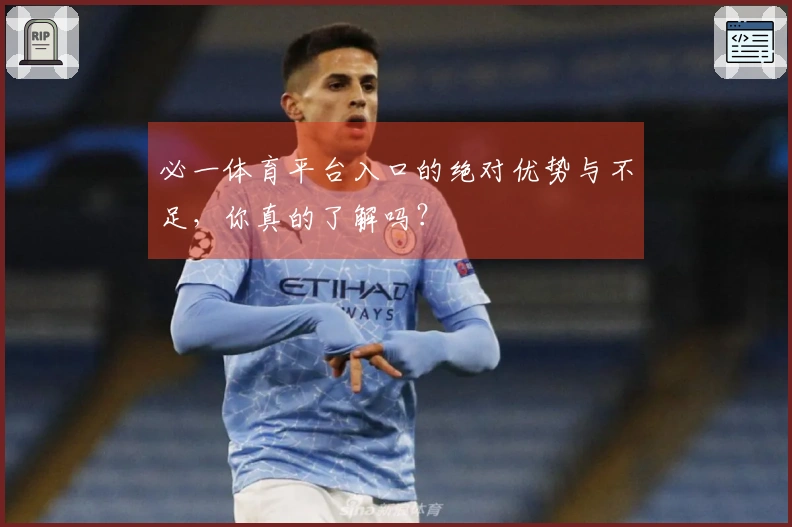 必一体育平台入口的绝对优势与不足，你真的了解吗？